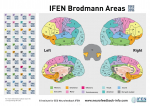 Brodmann Areas interactive Poster A1